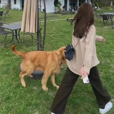 焚海的人